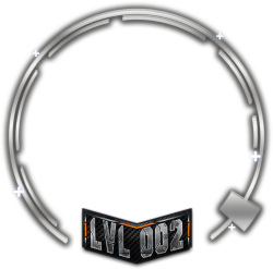 level 2
