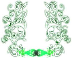 level 24