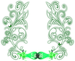 level 26