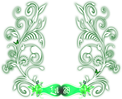 level 28