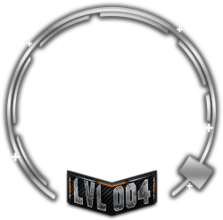 level 4