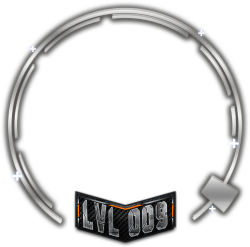 level 9